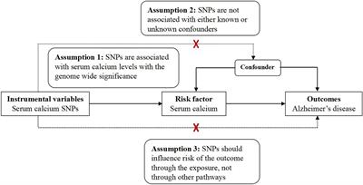 An Updated Mendelian Randomization Analysis of the Association Between Serum Calcium Levels and the Risk of Alzheimer’s Disease